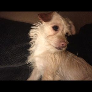 Meet your Posher, Al